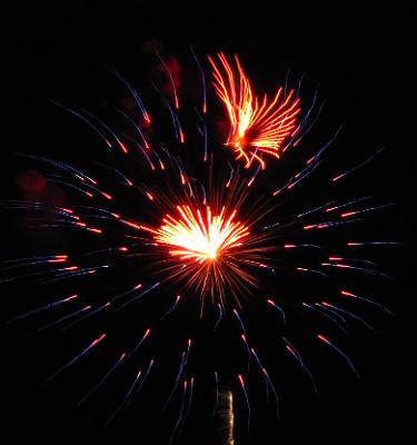 fireworks 001 (8).JPG